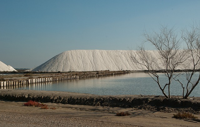 卡马尔格 盐沼 盐 - 上的免费照片