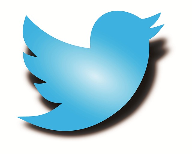 推特标志 推特鸟 - 上的免费图片