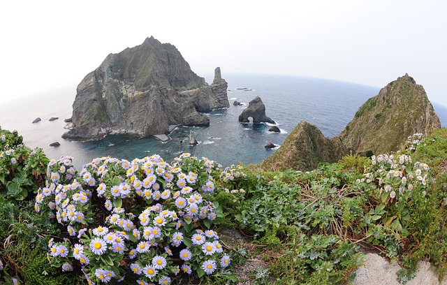 独岛 韩国 我们的领土 - 上的免费照片