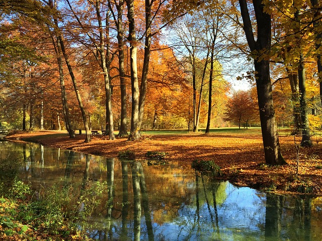 慕尼黑 英式花园 落下 - 上的免费照片