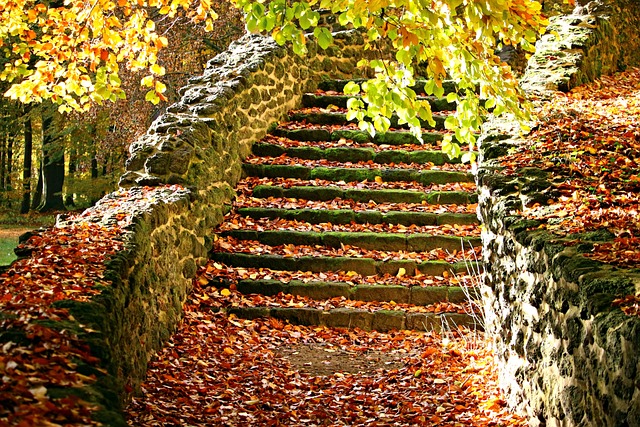 落下 楼梯 秋叶 - 上的免费照片