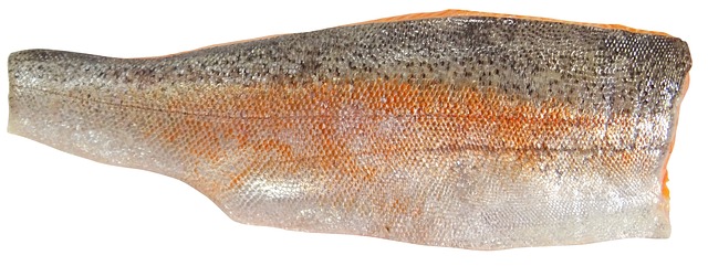 海鲜 鳟鱼 海鳟 - 上的免费照片