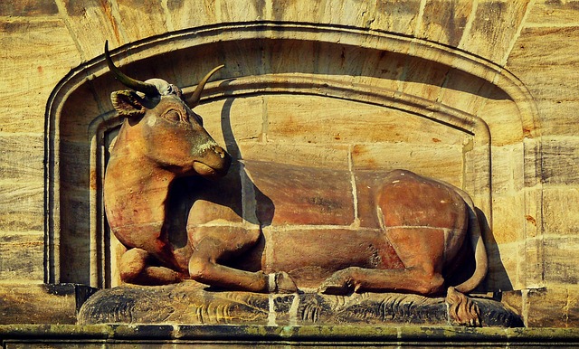 牛肉 动物 石像 - 上的免费照片