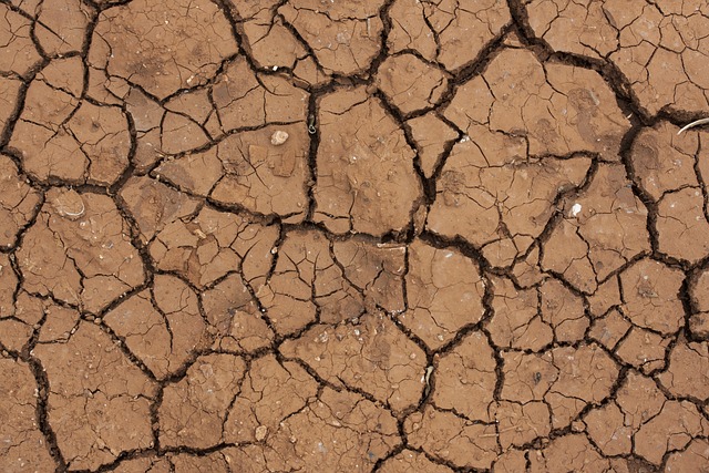 沙漠 污垢 干 - 上的免费照片