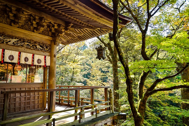 日本 景观 自然 - 上的免费照片