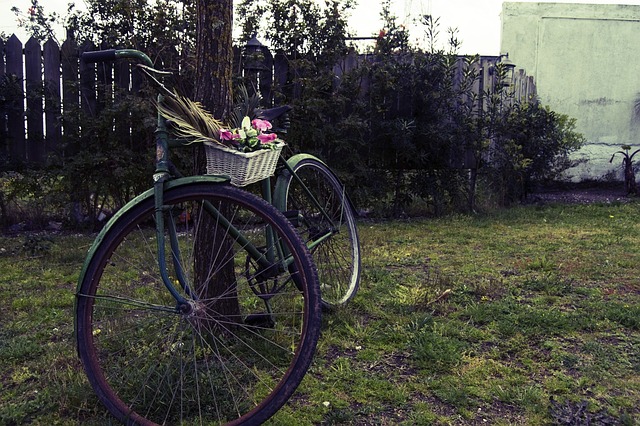 自行车 蜈蚣 花 - 上的免费照片