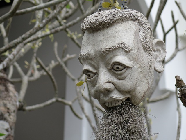 头 Wat Rong Khun 泰国 - 上的免费照片