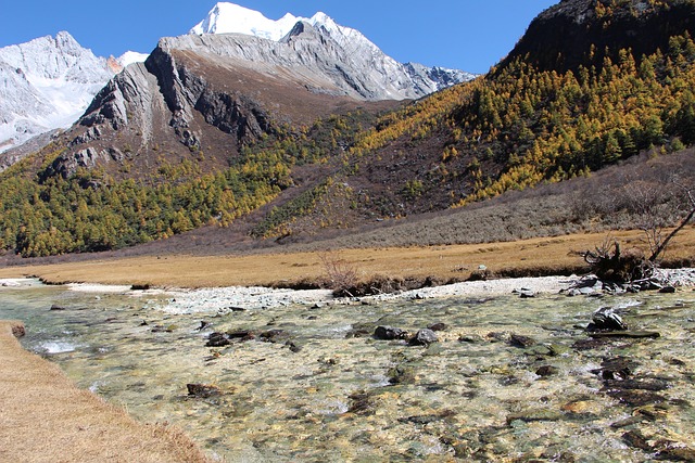 风景 中国 稻城亚丁 - 上的免费照片
