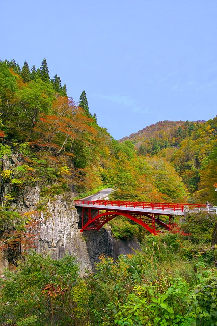 日本 秋季树叶 秋山乡 - 上的免费照片