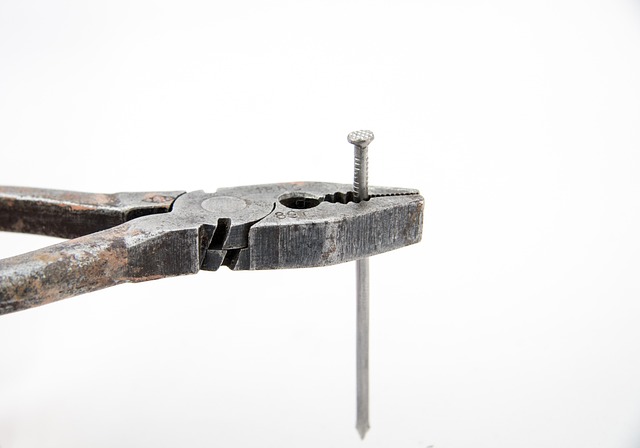 钉 钳 保持 - 上的免费照片