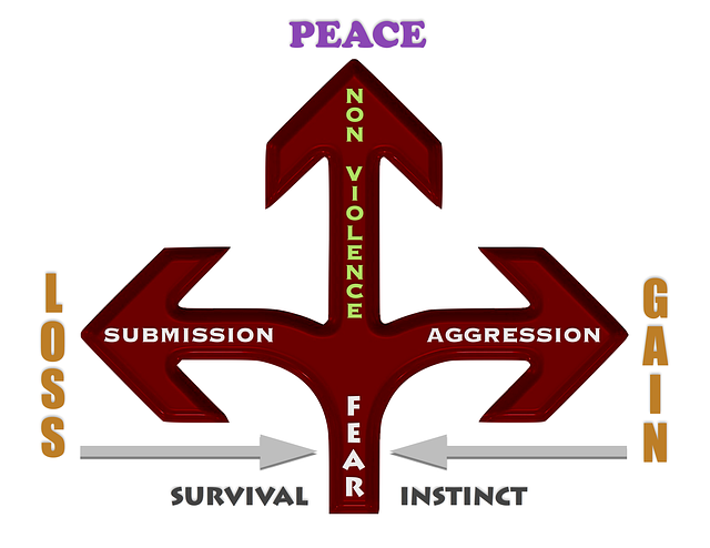 和平 非暴力 恐惧 - 上的免费图片