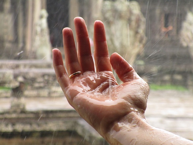 手 雨 禅 - 上的免费照片