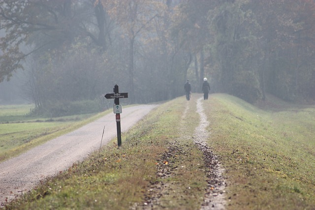 泊 高沼地 泥路 - 上的免费照片