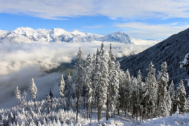 雪景 冬季景观 阿尔卑斯山 - 上的免费照片