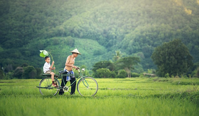 自行车 柬埔寨 目睹 - 上的免费照片