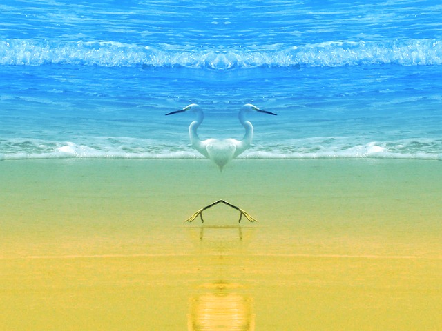 海滩 是 沙 - 上的免费图片