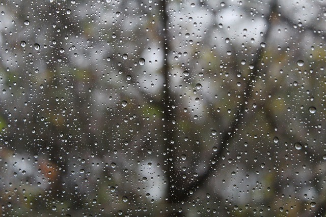 下雨天 雨滴 滴 - 上的免费照片