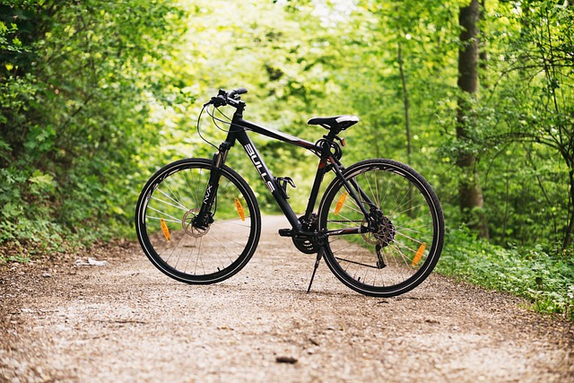 自行车 森林 小路 - 上的免费照片