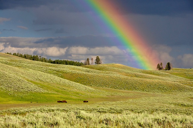 彩虹 丘陵 草地 - 上的免费照片