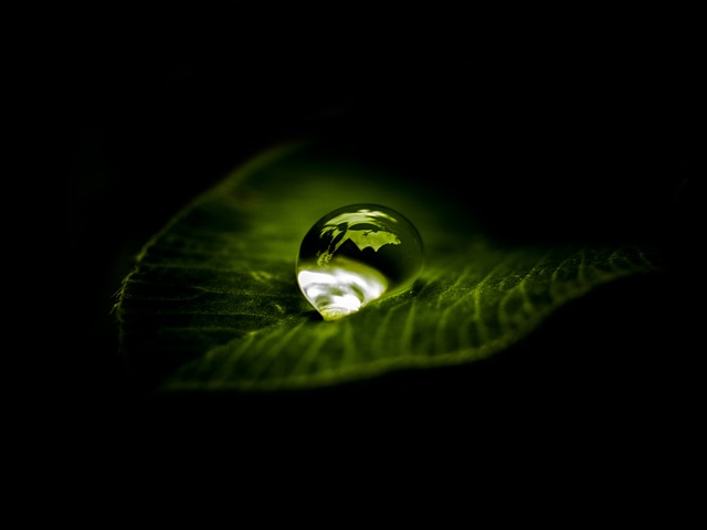 一滴 水 禅宗 - 上的免费照片