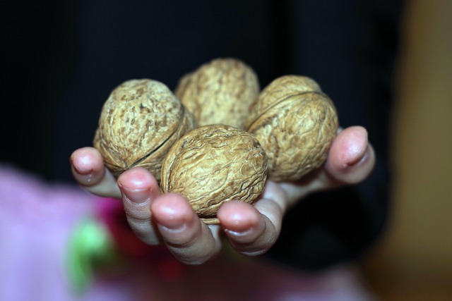 坚果 礼品 礼物 - 上的免费照片
