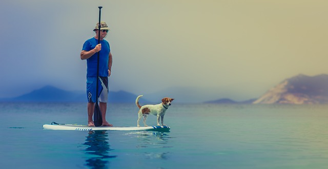 站立式单桨冲浪 男人 狗 - 上的免费照片