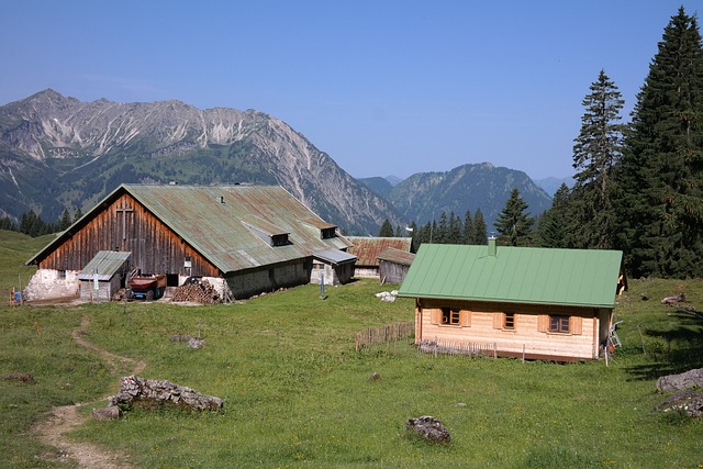 Willers高山 碱性磷酸酶 坏了很长时间 - 上的免费照片