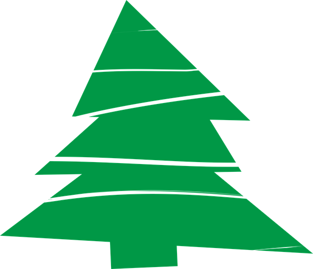 圣诞树 树苗 圣诞节 - 上的免费图片