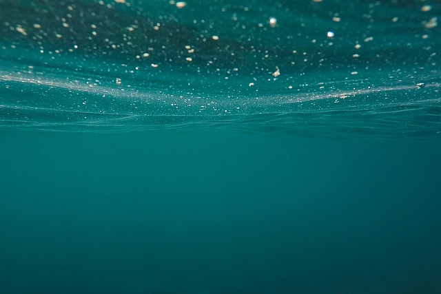海洋 海 湮 - 上的免费照片
