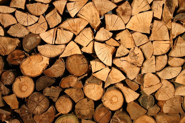 木头 树干 木材块 - 上的免费照片