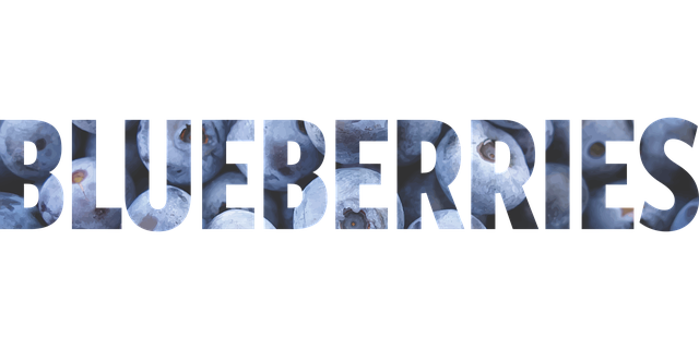 单词 蓝莓 蓝色的 - 免费矢量图形