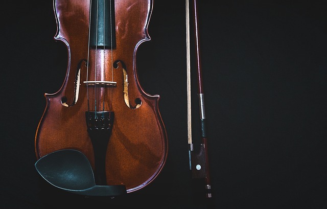 弓弦乐器 小提琴 古典音乐 - 上的免费照片