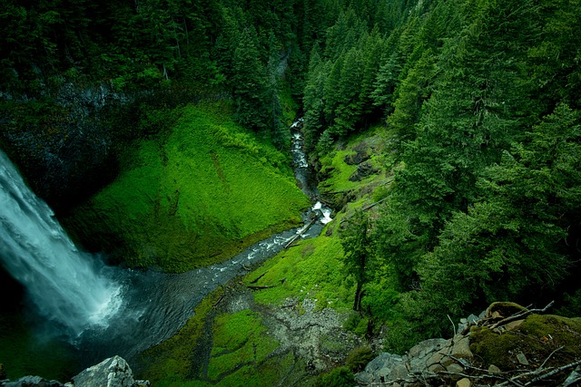 溪 瀑布 树木 - 上的免费照片