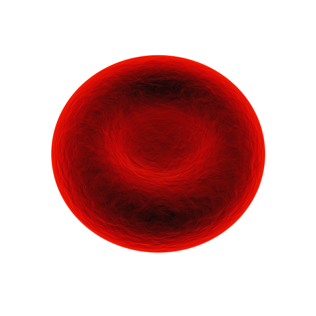 红细胞 红血球 血 - 上的免费图片
