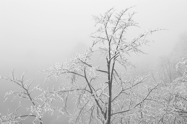 中國 安徽 黃山 - 上的免费照片