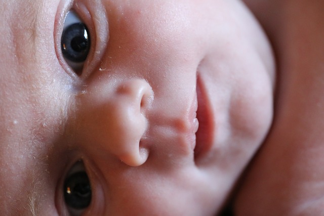 新生婴儿 眼睛 皮肤 - 上的免费照片