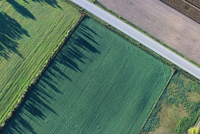 农业 农田 鸟瞰图 - 上的免费照片