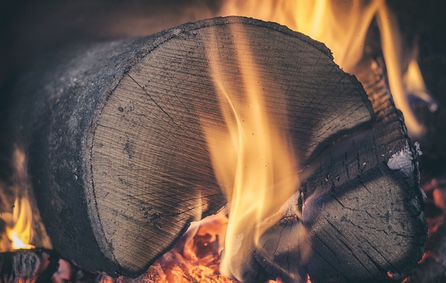 日志 木头 火 - 上的免费照片