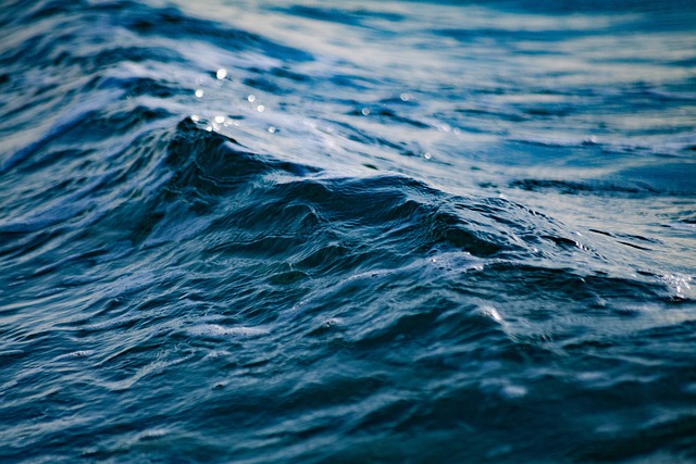 海 波浪 海洋 - 上的免费照片