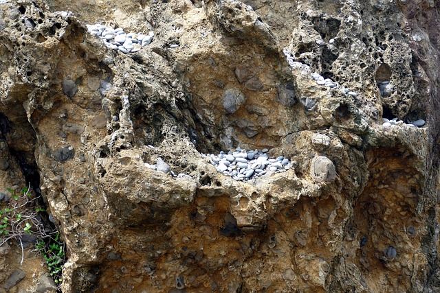 台湾 三仙台 海 - 上的免费照片