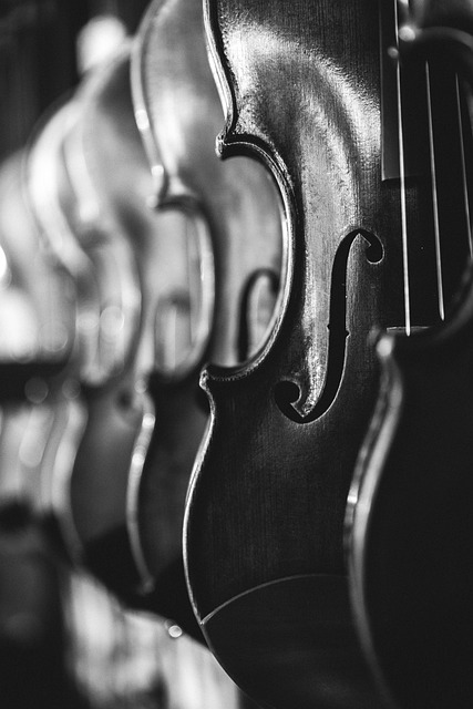 小提琴 仪器 音乐 - 上的免费照片