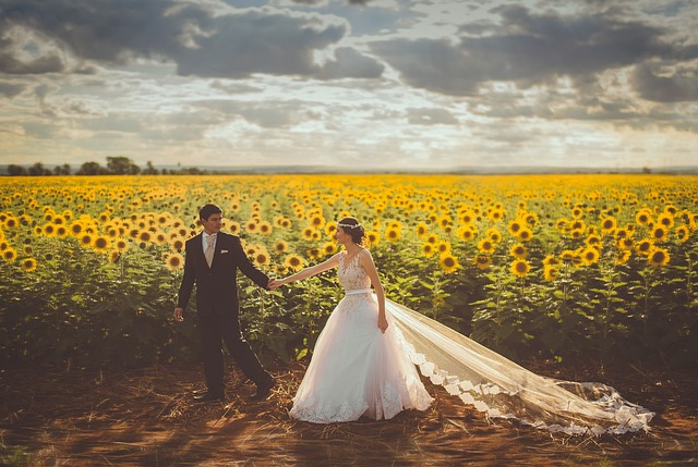 婚礼 夫妻 向日葵的字段 - 上的免费照片