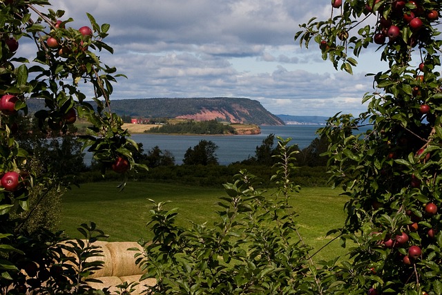 Blomidon 新斯科舍省 苹果 - 上的免费照片