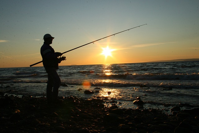 钓鱼 海岸 海洋 - 上的免费照片