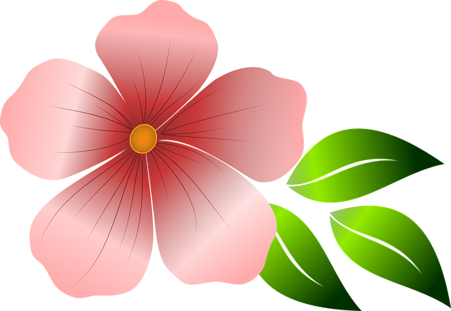花 粉红色的花 春天 - 免费矢量图形