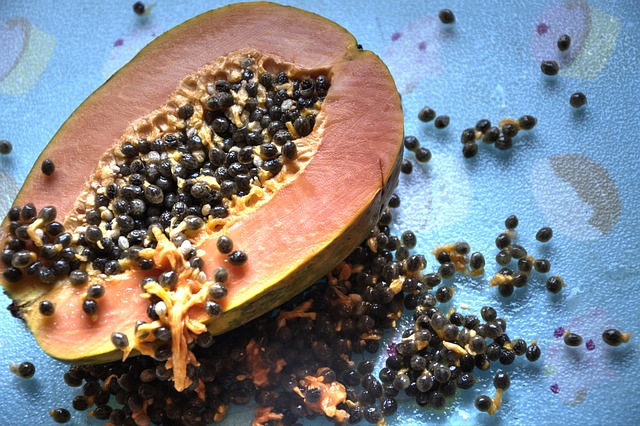 爪子 水果 健康 - 上的免费照片