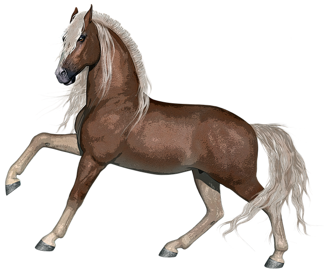 马 骘 动物 - 上的免费图片