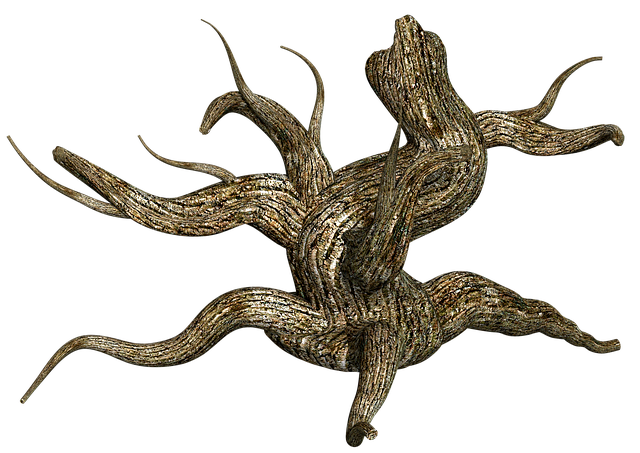 树桩 树 木头 - 上的免费图片