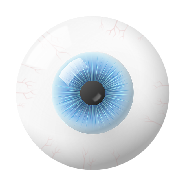 眼睛 虹膜 地球 - 上的免费图片