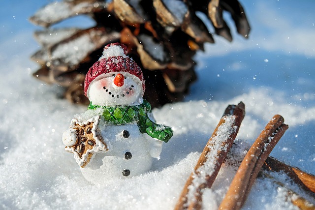 雪人 雪 圣诞节 - 上的免费照片